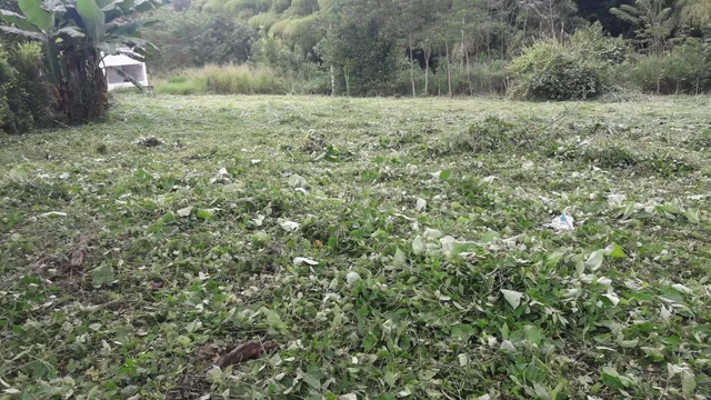 Se Vende Lote Vereda El Rio, Neira - Foto 6
