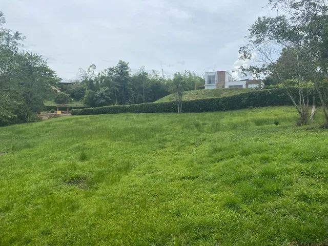SE VENDE LOTE CAMPESTRE, VITERBO, CALDAS - Foto 2