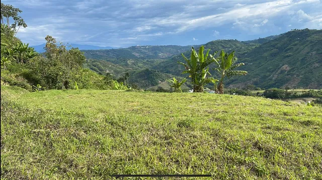 Se Vende Lote Manizales, el agrado - Foto 13