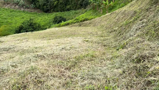 Se Vende Lote Manizales, el agrado - Foto 3