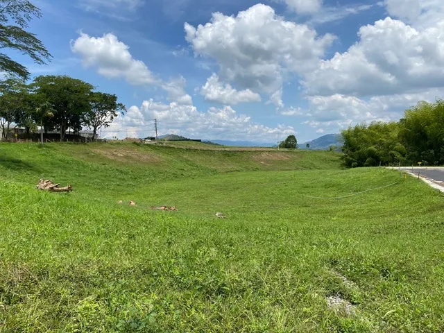Se vende lotes, Pereira, Cerritos, Malabar - Foto 10