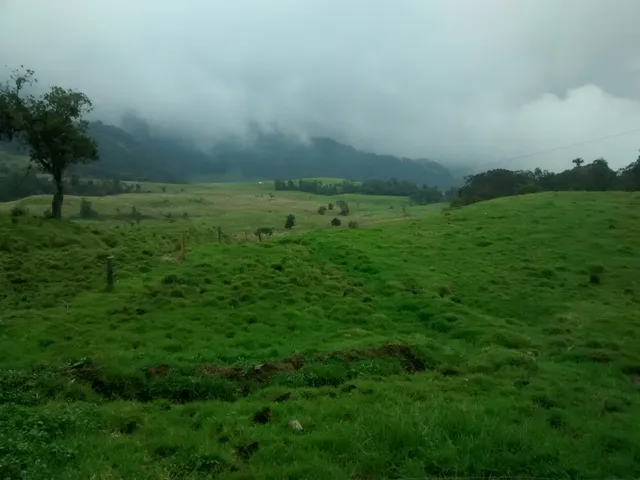 Se Vende Finca en Villamaría, Parque los Nevados.