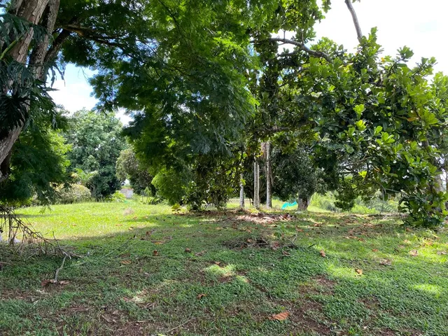 SE VENDE LOTE PEREIRA CERRITOS MALABAR - Foto 6