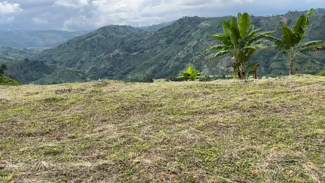 Se Vende Lote Manizales, el agrado - Foto 10