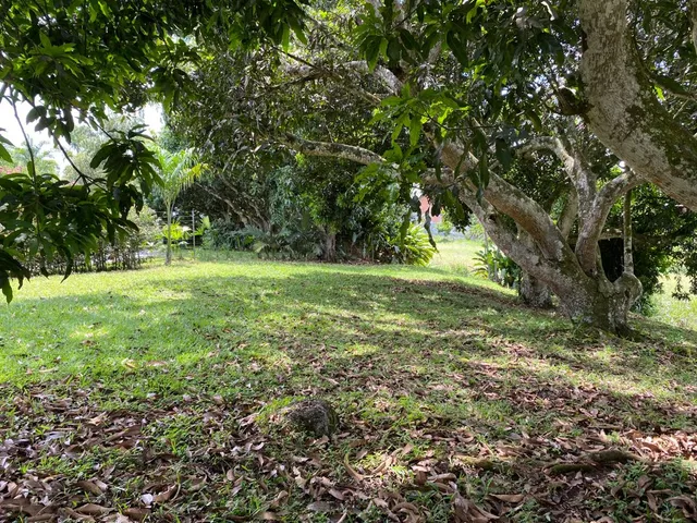 SE VENDE LOTE PEREIRA CERRITOS MALABAR - Foto 38