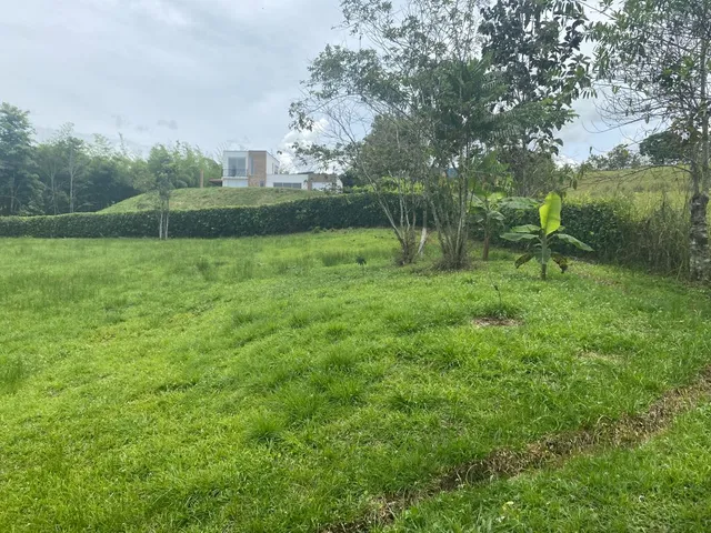 SE VENDE LOTE CAMPESTRE, VITERBO, CALDAS