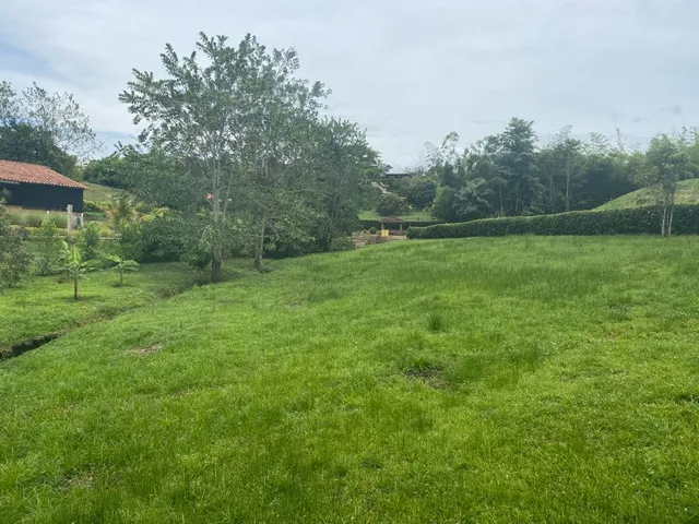 SE VENDE LOTE CAMPESTRE, VITERBO, CALDAS - Foto 3