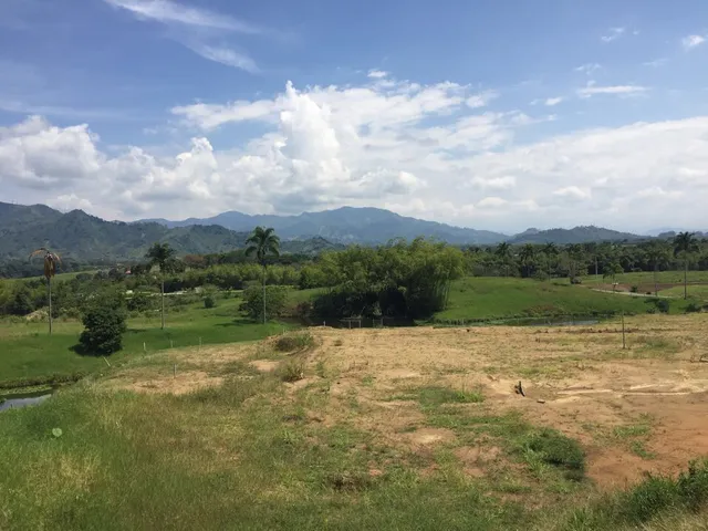 Se vende lote campestre, Pereira,Cerritos - Foto 9