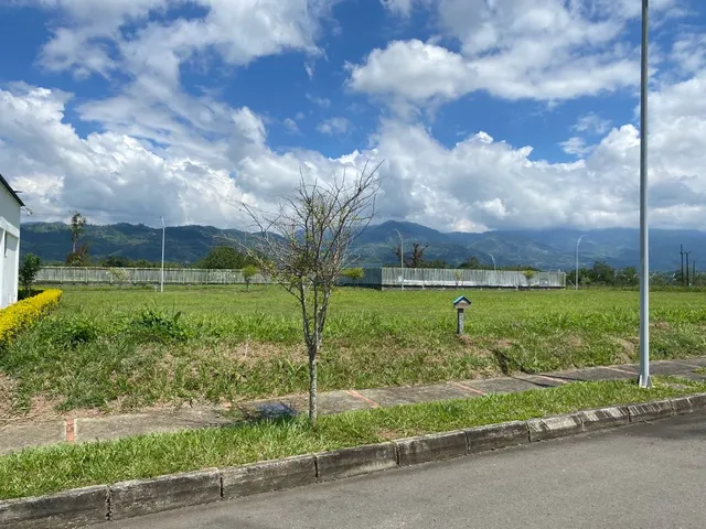 SE VENDE LOTE, VITERBO, CALDAS - Foto 14