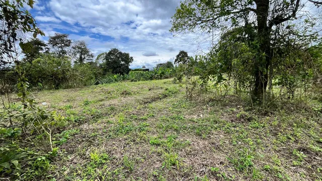 Se vende lote campestre Alcala Valle - Foto 7