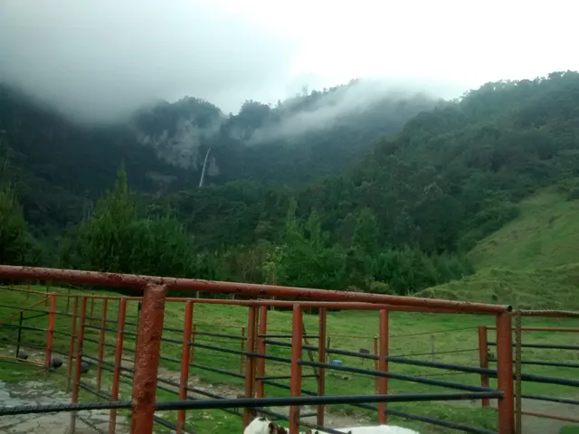 Se Vende Finca en Villamaría, Parque los Nevados. - Foto 13