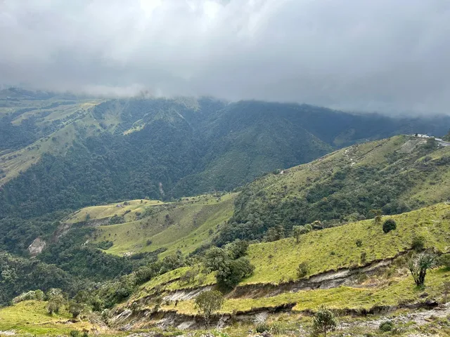 Se Vende Finca en Letras Caldas - Foto 12