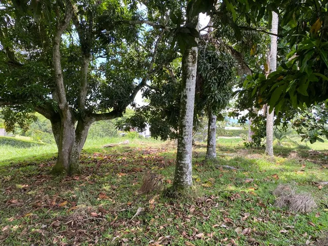 SE VENDE LOTE PEREIRA CERRITOS MALABAR - Foto 41