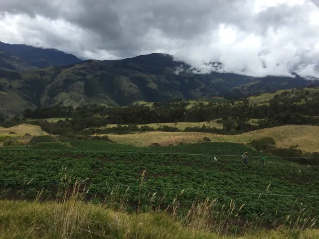 Se vende finca agrícola ganadera, Valle Del Cauca. Barragán - Foto 10