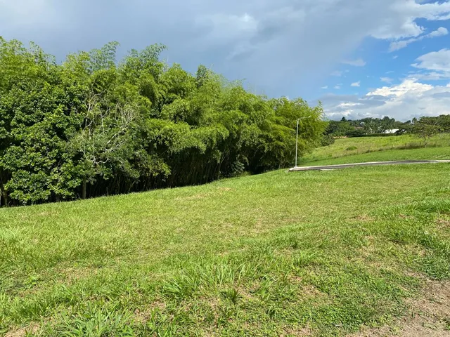 SE VENDE LOTE CAMPESTRE, PEREIRA, CERRITOS MALABAR - Foto 22
