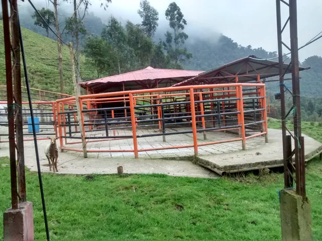 Se Vende Finca en Villamaría, Parque los Nevados. - Foto 18