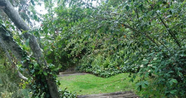 Se vende Lote Chia, Cundinamarca - Foto 8