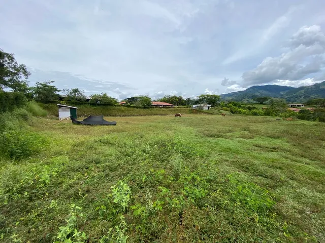 Se vende lote Viterbo Caldas