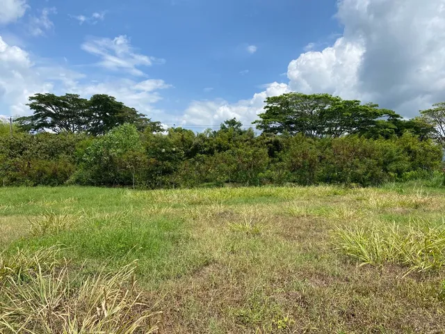 Se vende Lotes Campestres Pereira Cerritos - Foto 15
