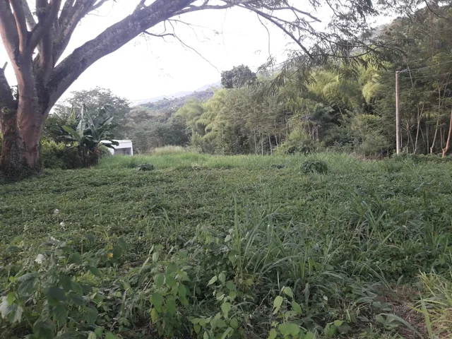 Se Vende Lote Vereda El Rio, Neira - Foto 9