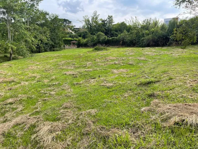 SE VENDE LOTE CAMPESTRE, VITERBO, CALDAS - Foto 7