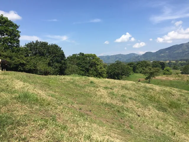 Se vende lote campestre, Pereira,Cerritos - Foto 5