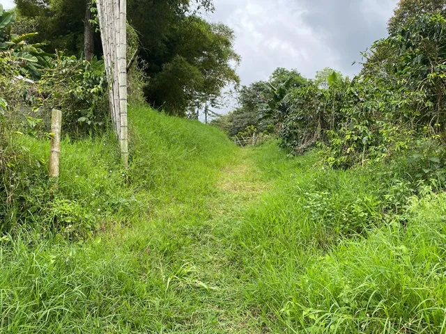 Se vende Lote Campestre, Pereira, Mundo Nuevo - Foto 16