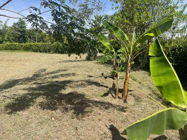 Se vende lote Viterbo Caldas - Foto 14