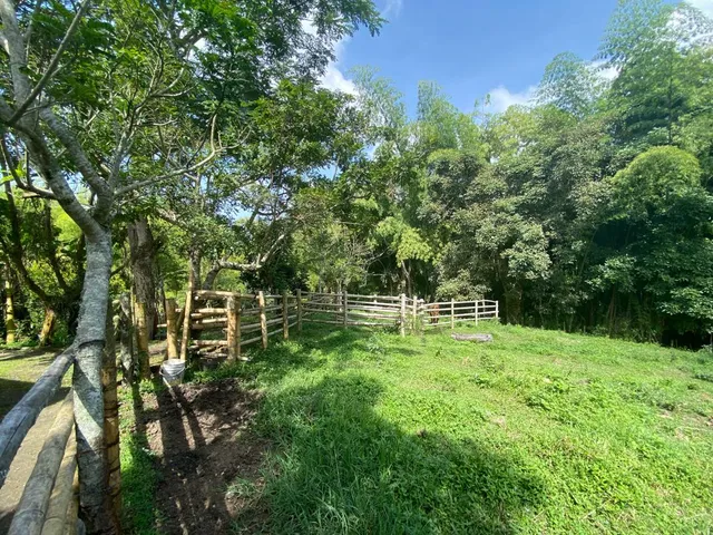 SE VENDE LOTE SUBURBANO PEREIRA, CERRITOS - Foto 11