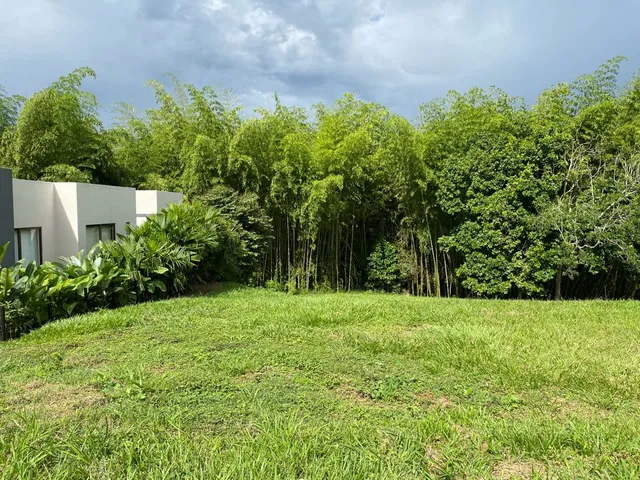 SE VENDE LOTE CAMPESTRE, PEREIRA, CERRITOS MALABAR - Foto 19