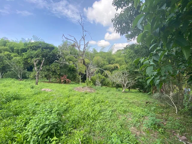 SE VENDE LOTE SUBURBANO PEREIRA, CERRITOS - Foto 18