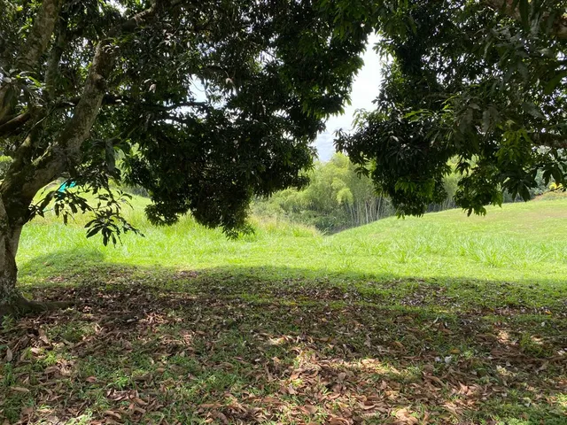 SE VENDE LOTE PEREIRA CERRITOS MALABAR - Foto 15