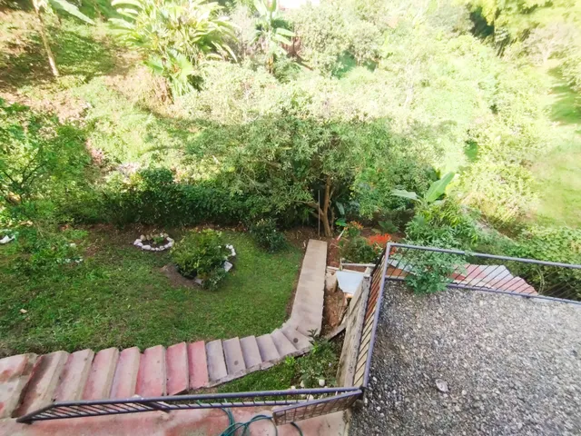 Se Vende Casa Lote En La Vereda El Trébol, Chinchiná - Foto 4
