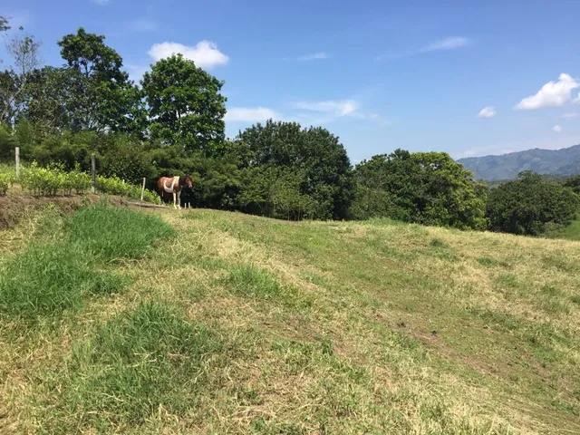 Se vende lote campestre, Pereira,Cerritos - Foto 4