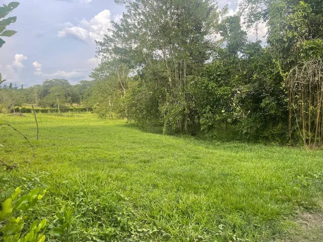 SE VENDE LOTE CAMPESTRE, VITERBO, CALDAS - Foto 6