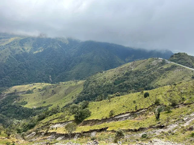 Se Vende Finca en Letras Caldas - Foto 7