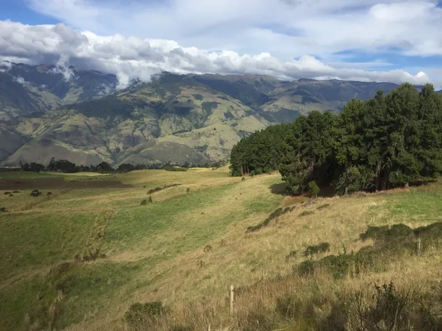 Se vende finca agrícola ganadera, Valle Del Cauca. Barragán - Foto 4