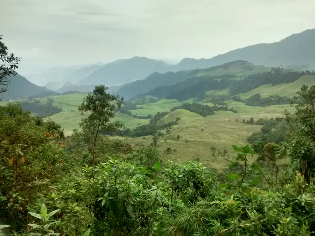 Se Vende Finca en Villamaría, Parque los Nevados. - Foto 16