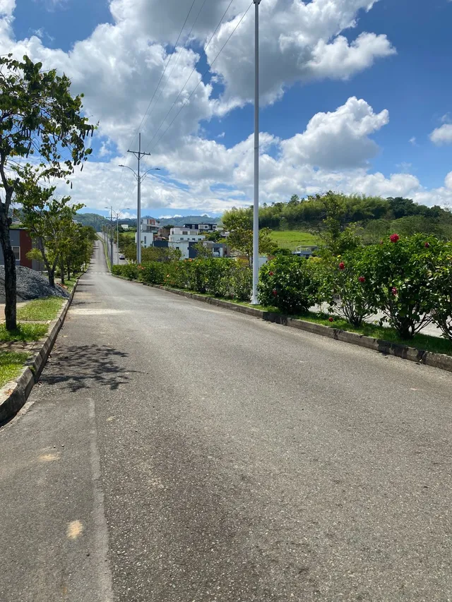SE VENDE LOTE, VITERBO, CALDAS - Foto 26