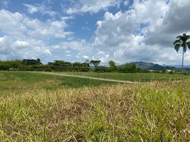 Se vende Lotes Campestres Pereira Cerritos - Foto 13