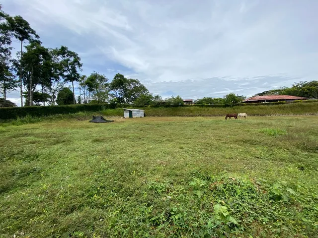 Se vende lote Viterbo Caldas - Foto 5