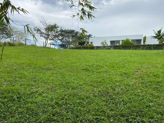 SE VENDE LOTE, PEREIRA, CERRITOS - Foto 7