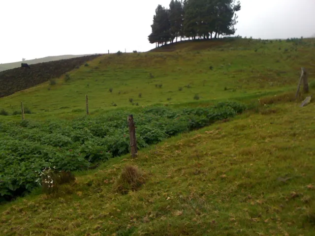 Se vende finca agrícola ganadera, Valle Del Cauca. Barragán - Foto 8