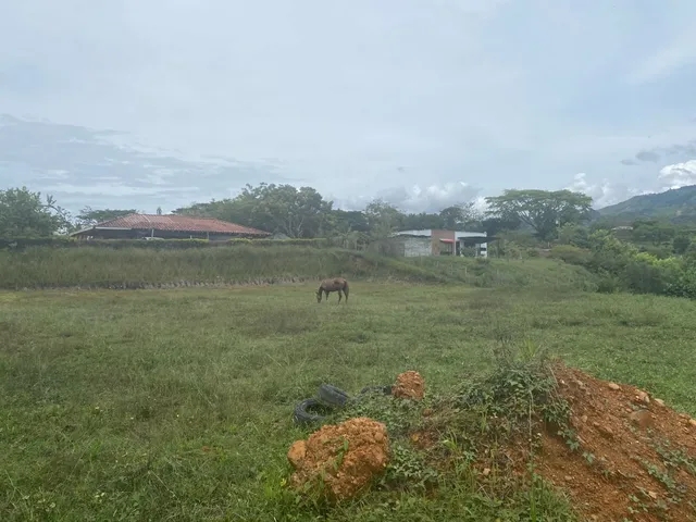 Se vende lote Viterbo Caldas - Foto 7