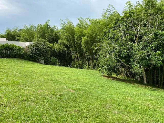 SE VENDE LOTE CAMPESTRE, PEREIRA, CERRITOS MALABAR - Foto 11