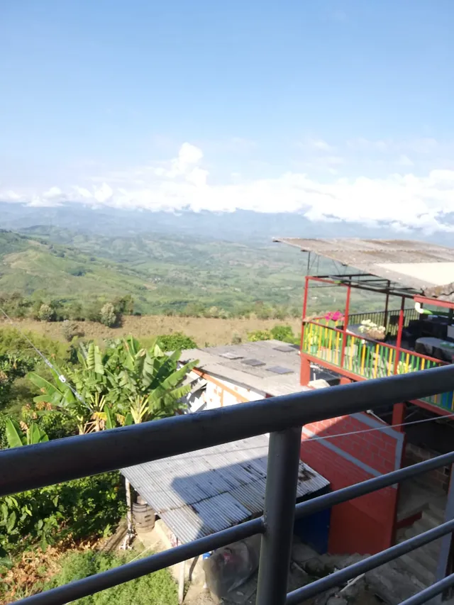 Se Vende Finca Vereda Alto Lisboa, Manizales - Foto 3