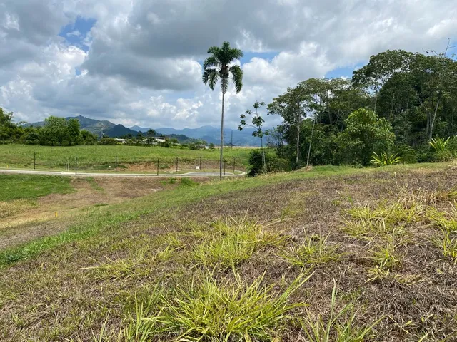 Se vende Lotes Campestres Pereira Cerritos - Foto 11