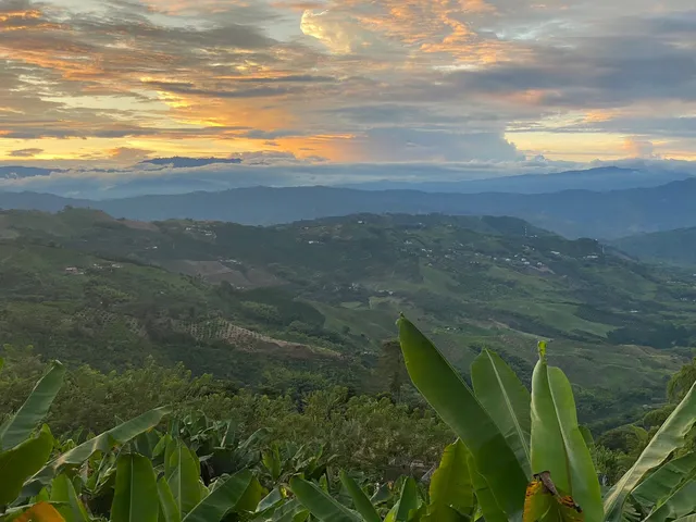 Se Vende Lote Vereda La Paloma, Palestina - Foto 3