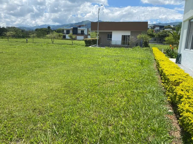 SE VENDE LOTE, VITERBO, CALDAS - Foto 5