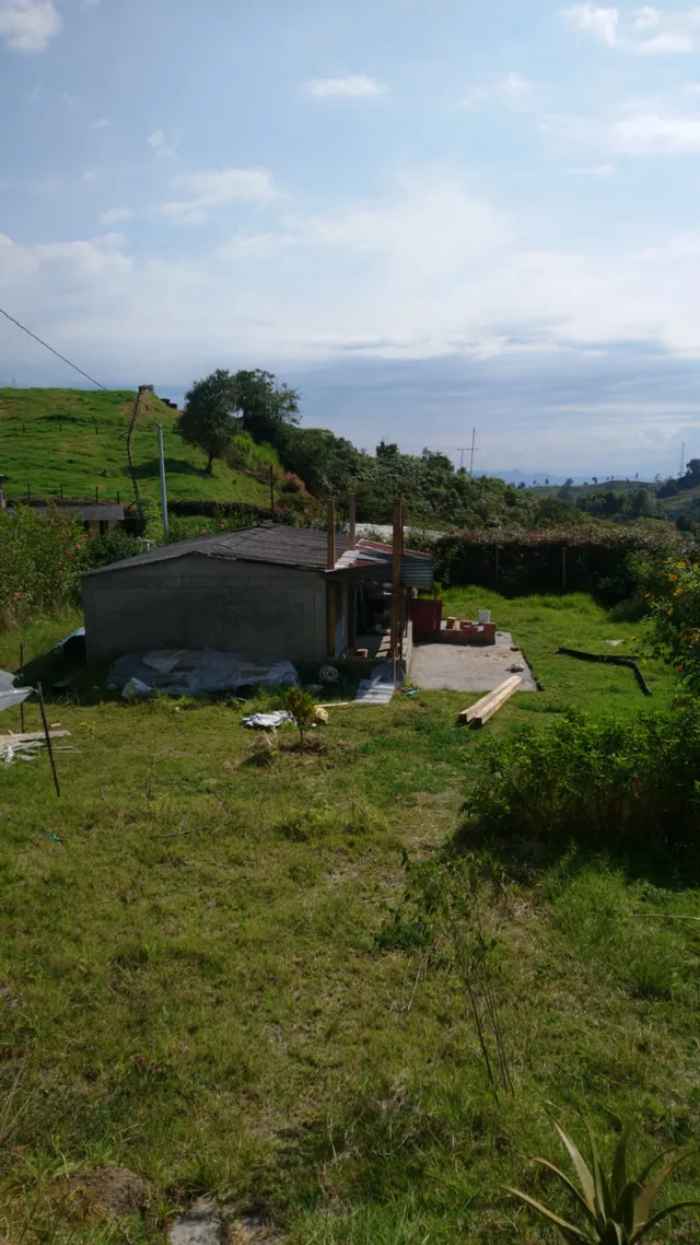 Se Vende Lote Vereda Castilla, Villamaría - Foto 4